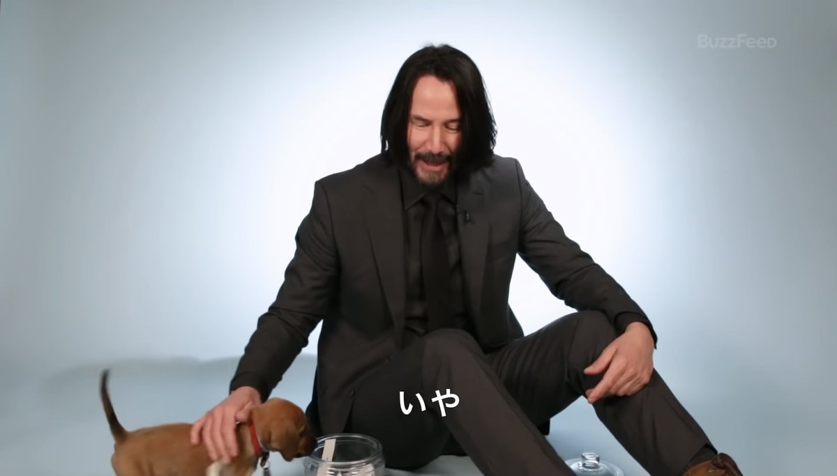 大好きな仔犬と戯れながら 急に正気に戻るキアヌ 