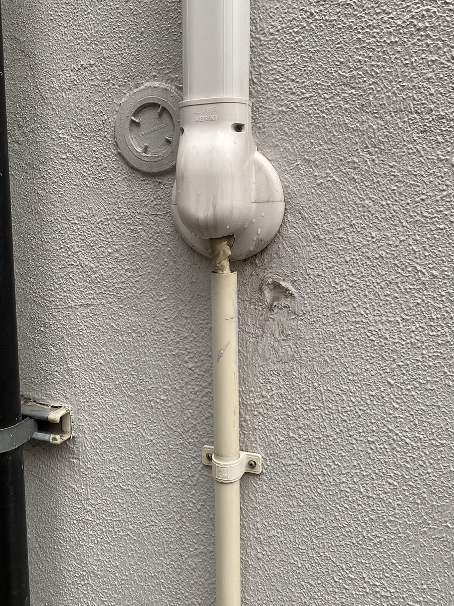 長いチュロス食ってるウサギみたいだな 