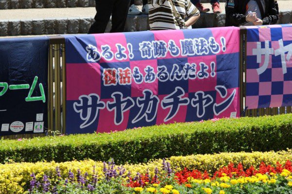 カレンチャンって新キャラ出るらしいけど、そういえばサヤカチャンとかいう馬おったん思い出したわ