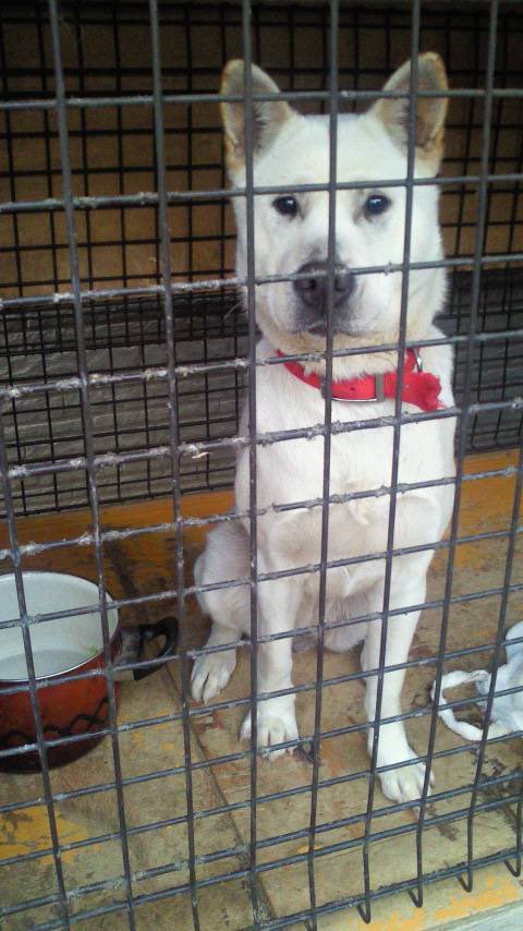 皆さん拡散よろしくお願いします