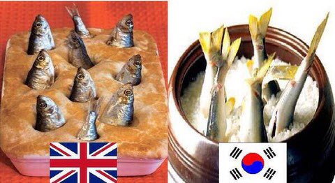    3: 名無しさん＠おーぷん  ワープホール説ほんとすこ 