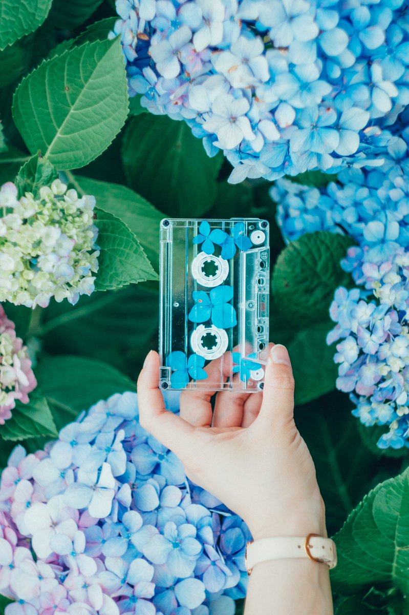 プレイリスト「梅雨」 