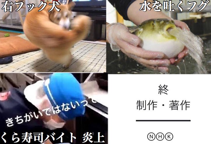 2019年上半期にTwitterで話題になったものをまとめてみた 