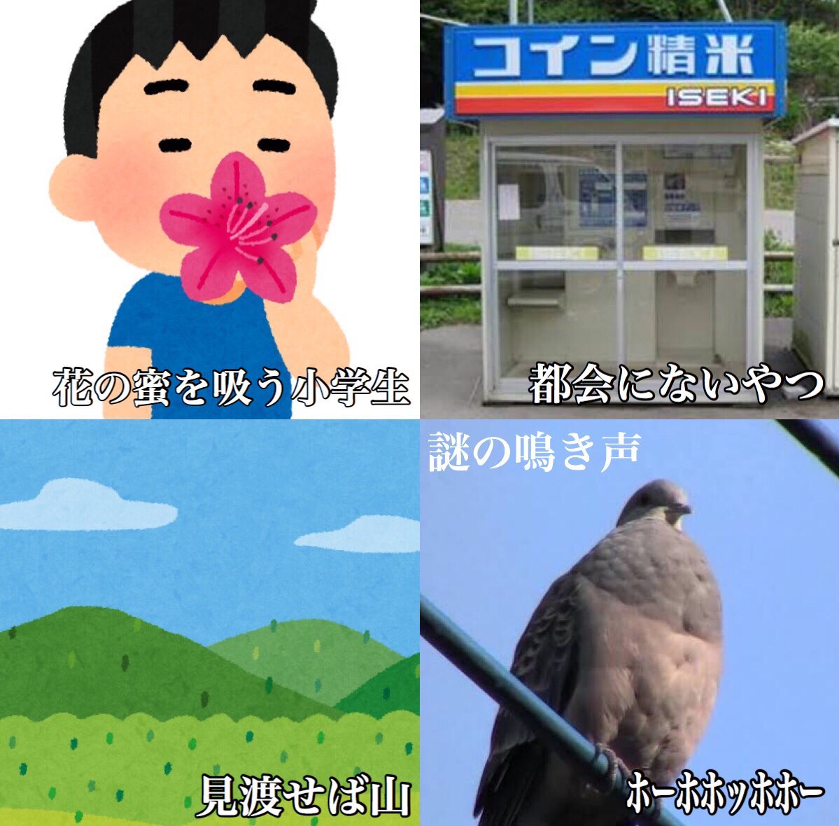 田舎民にしか分からないこと 