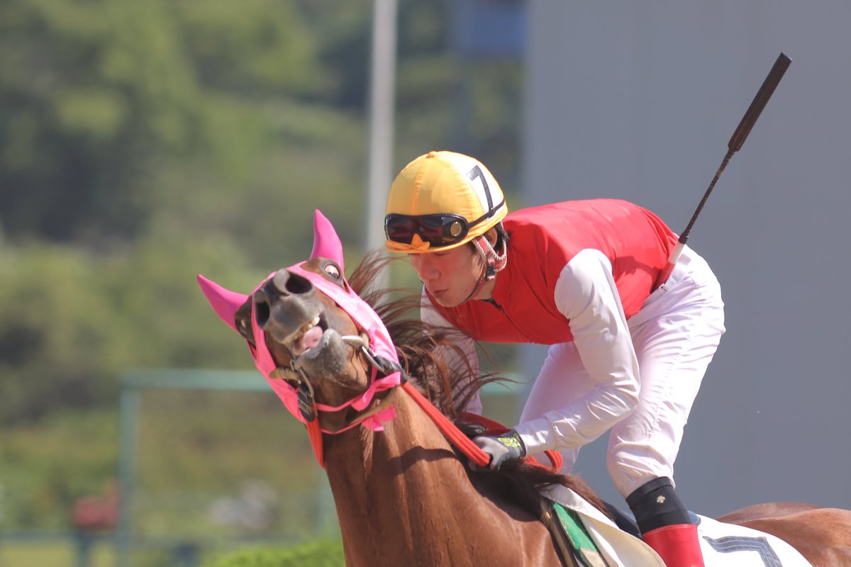 シャッターを切った瞬間になぜこんな顔になったのか