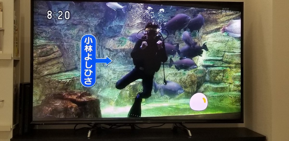 今日のﾌﾞﾝﾊﾞﾎﾞﾝで笑い死んだ 