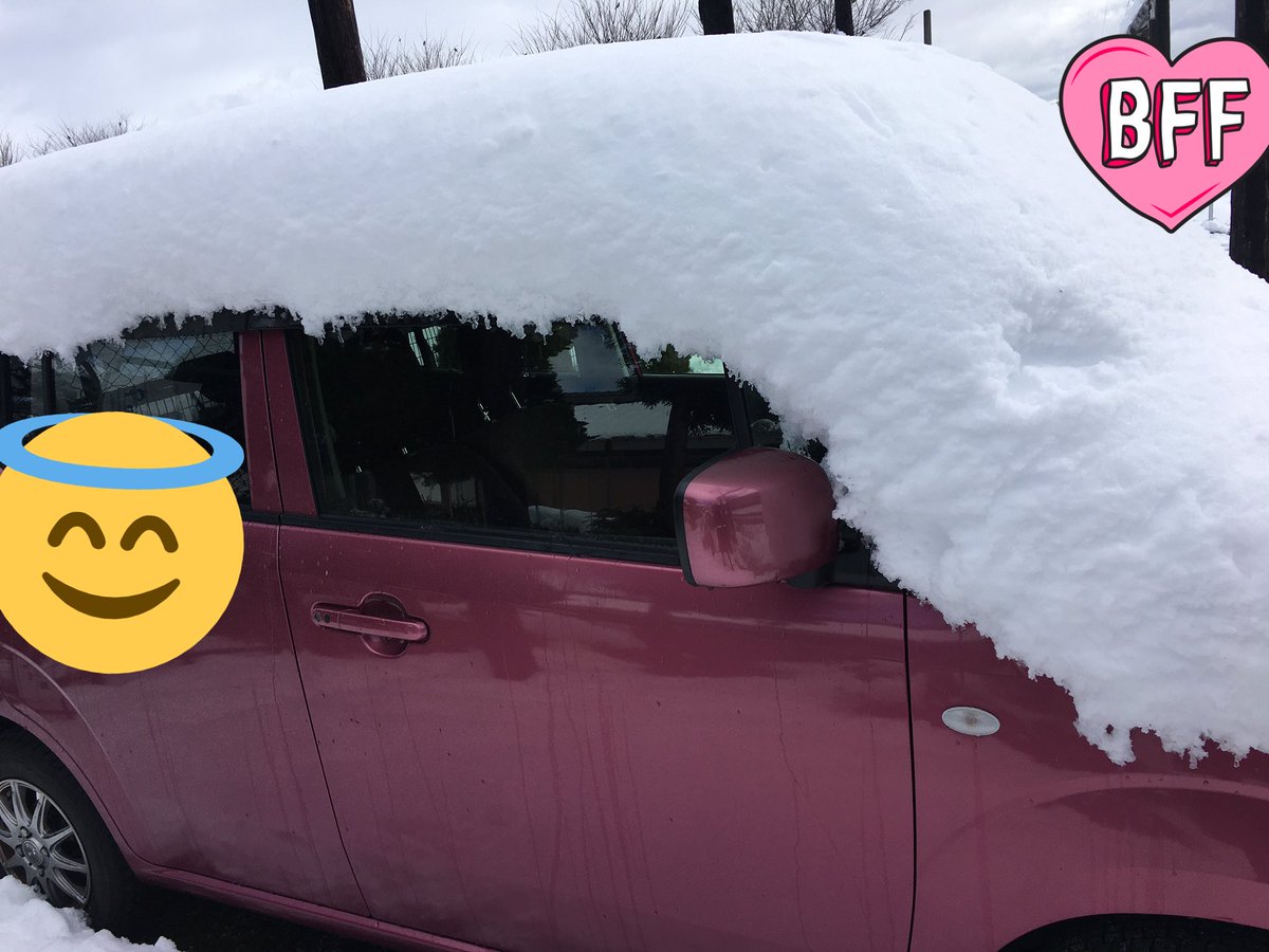 オギャャァァァァ😭😭😭😭😭😭😭😭😭😭（雪かきできるもの積んでなかったので車にあったエクスカリバーで雪かきしてる） 