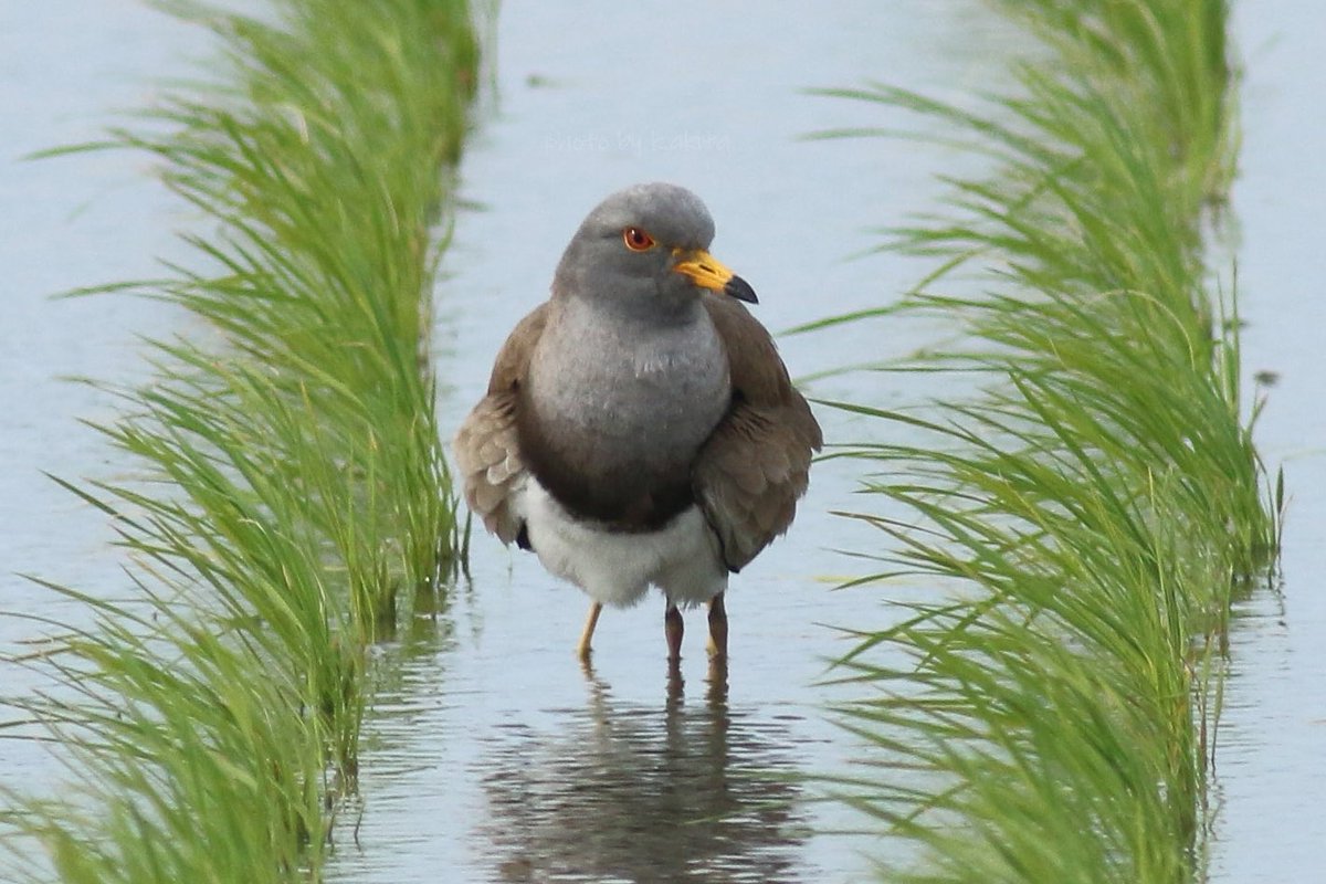 #これでフォロワーさん増えました 親「寒いやろ