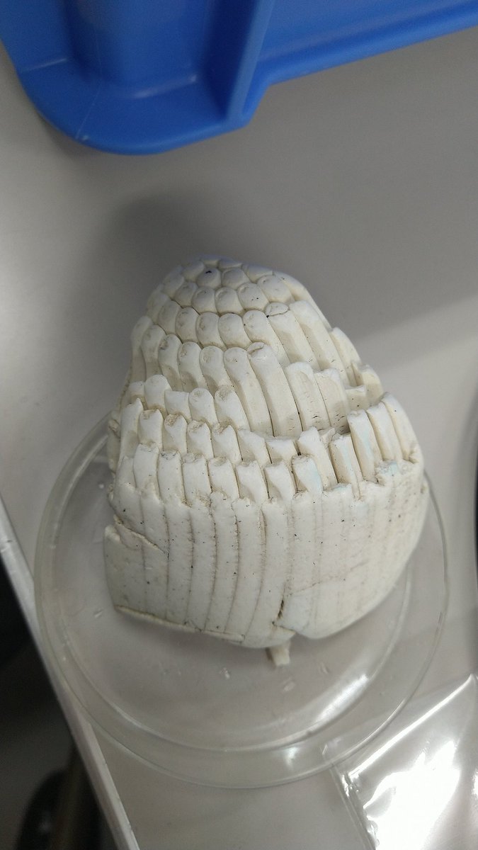  海岸で拾ったものらしく、塩酸に反応しなかったんだけど… 