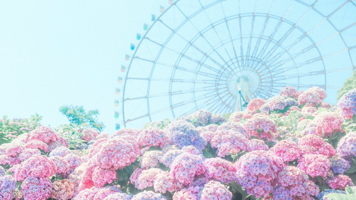 全部夢だったかもしれない、花の海。 