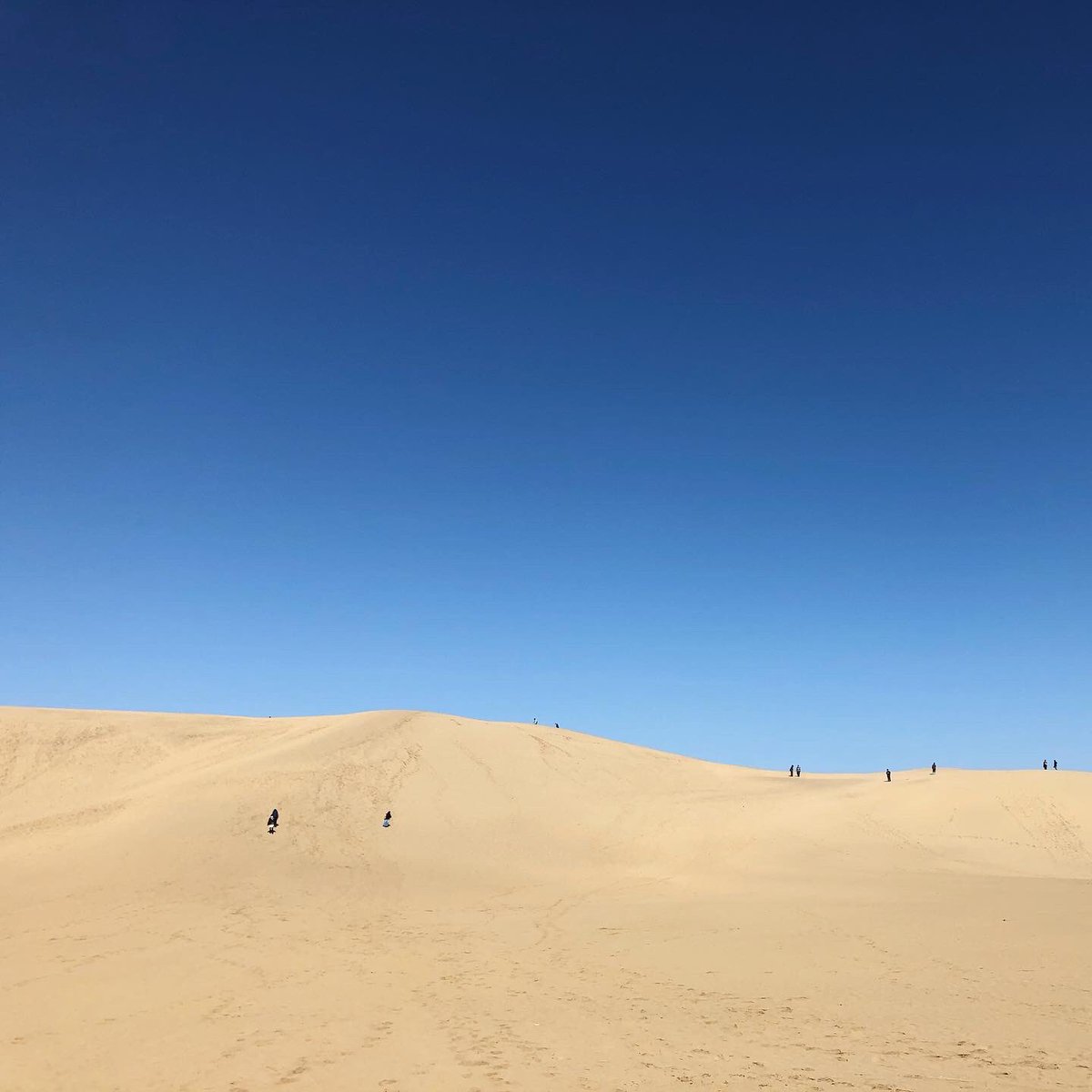 青い釉薬のなだらかな曲線が本当に空と砂丘みたいで綺麗 
