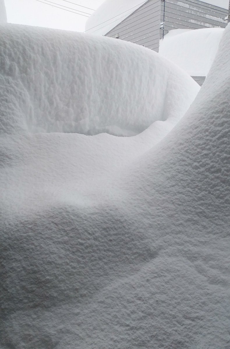 緊急速報で外出自粛と言われたけど家から出られないから安心してほしい 