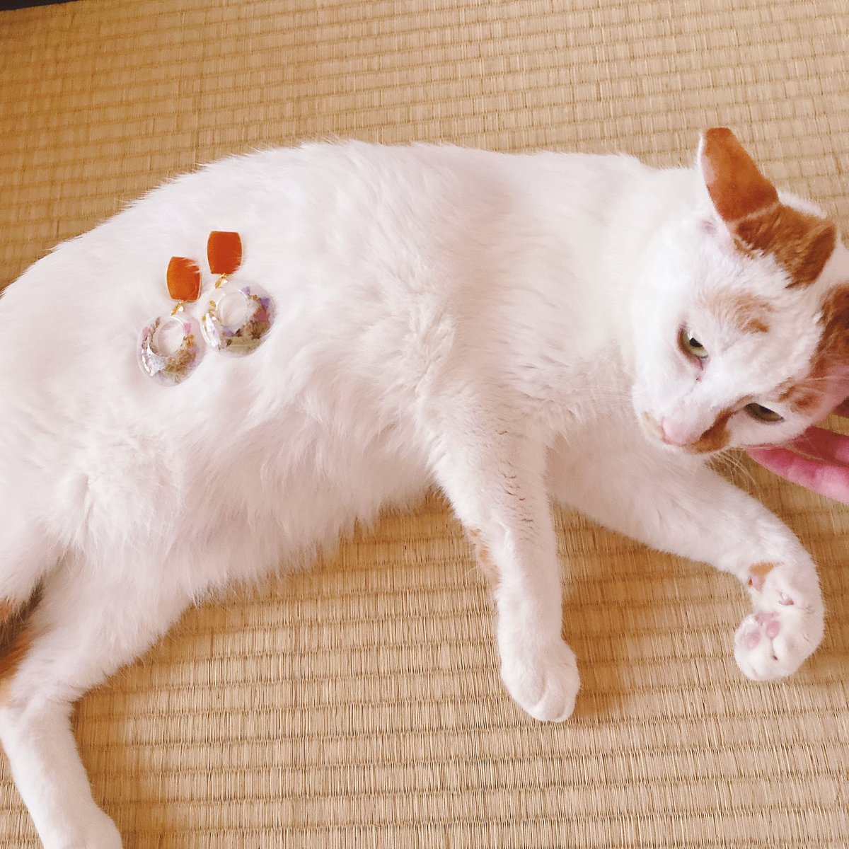 背景係いつもありがとな 