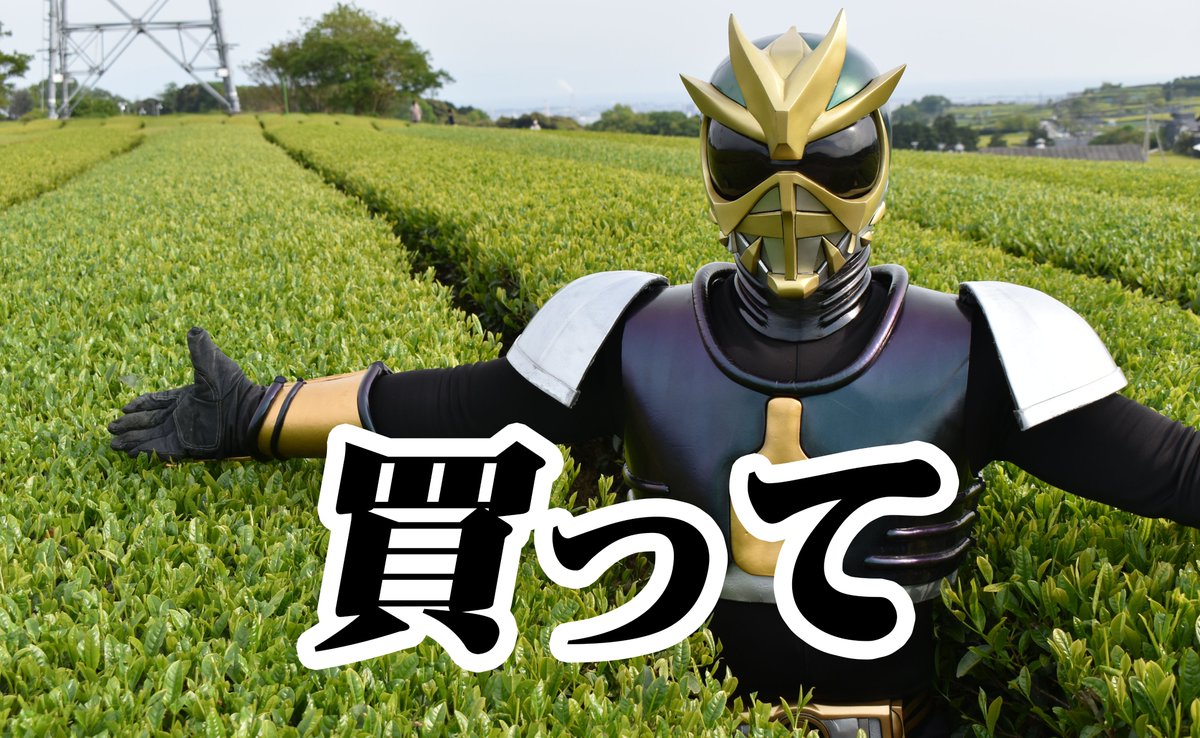 新茶の時期なので大事なことを言っておこう 