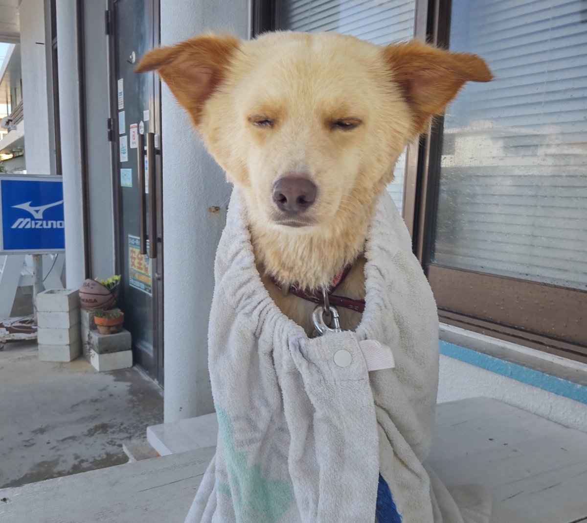 梅雨明けしてからほぼ毎朝これ 