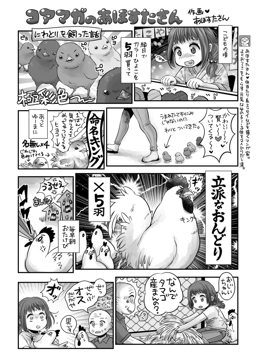 にわとりを飼った話🐓🐤🐣🐔🐥 