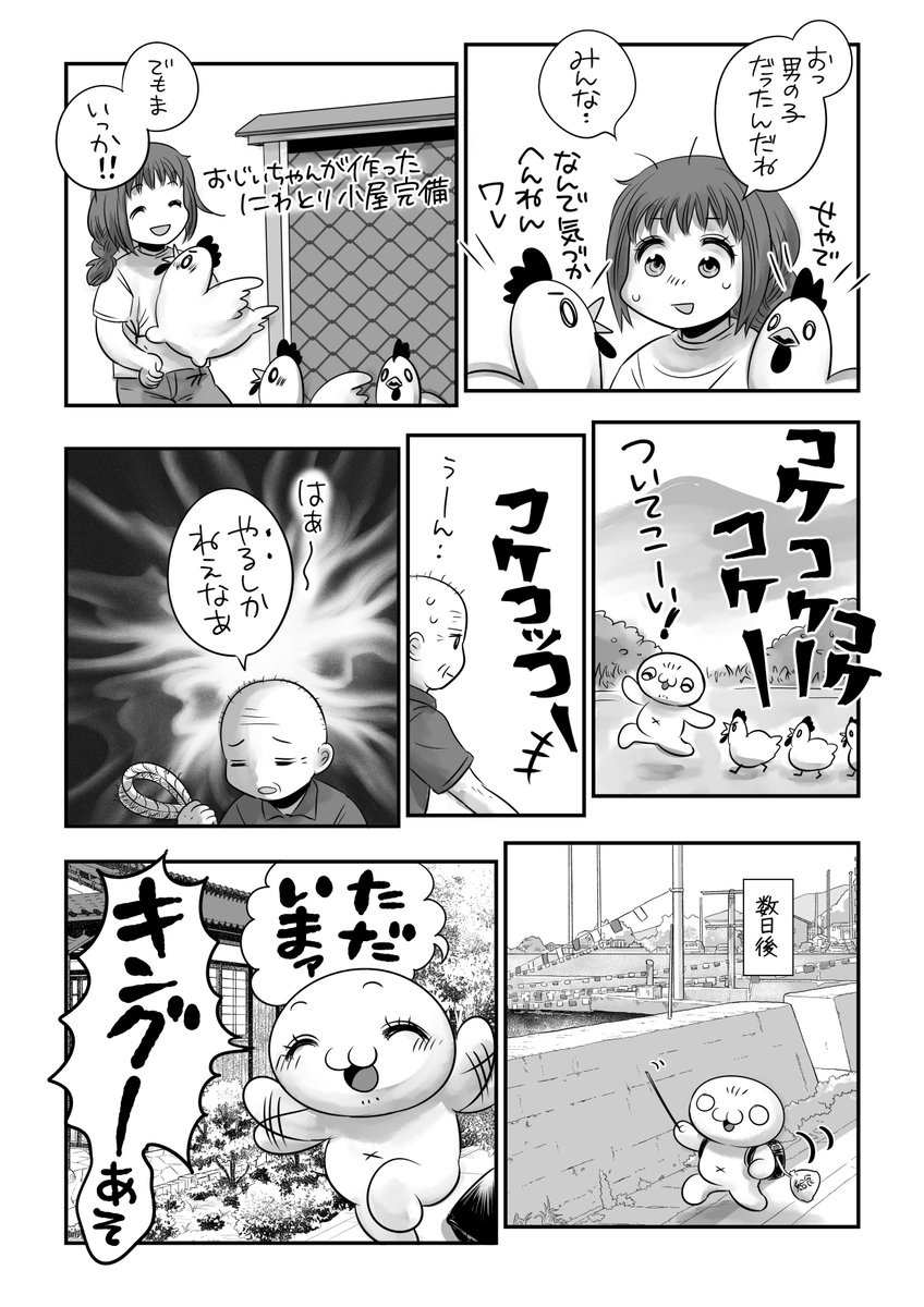 にわとりを飼った話🐓🐤🐣🐔🐥 