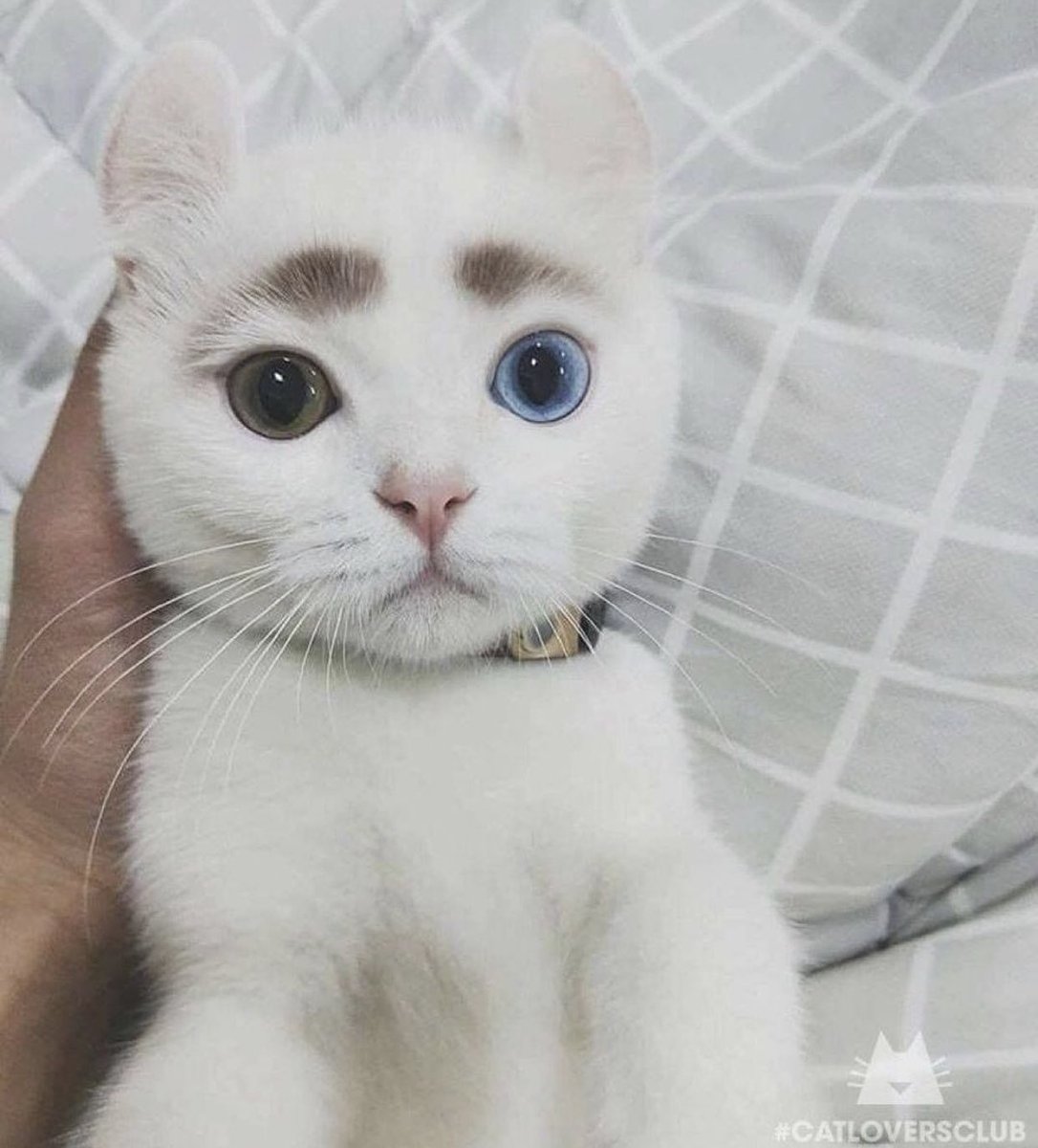 なんか君すごいな。 