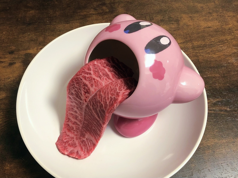 ずっと欲しかった『カービィのお皿』を手に入れたので、さっそく生肉を入れてみました