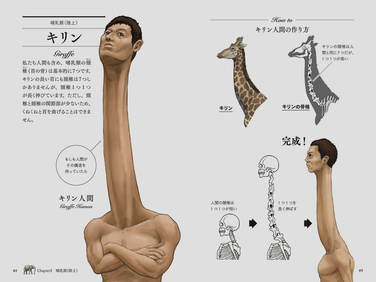 動物の骨格を人間で再現しまくる本『カメの甲羅はあばら骨』……これ、ヤバイ本だ