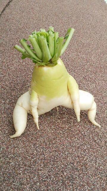 昨日、母からメッセージ無しにLINEで送られてきた写真………  不意打ち過ぎて、笑ってしまった😅 