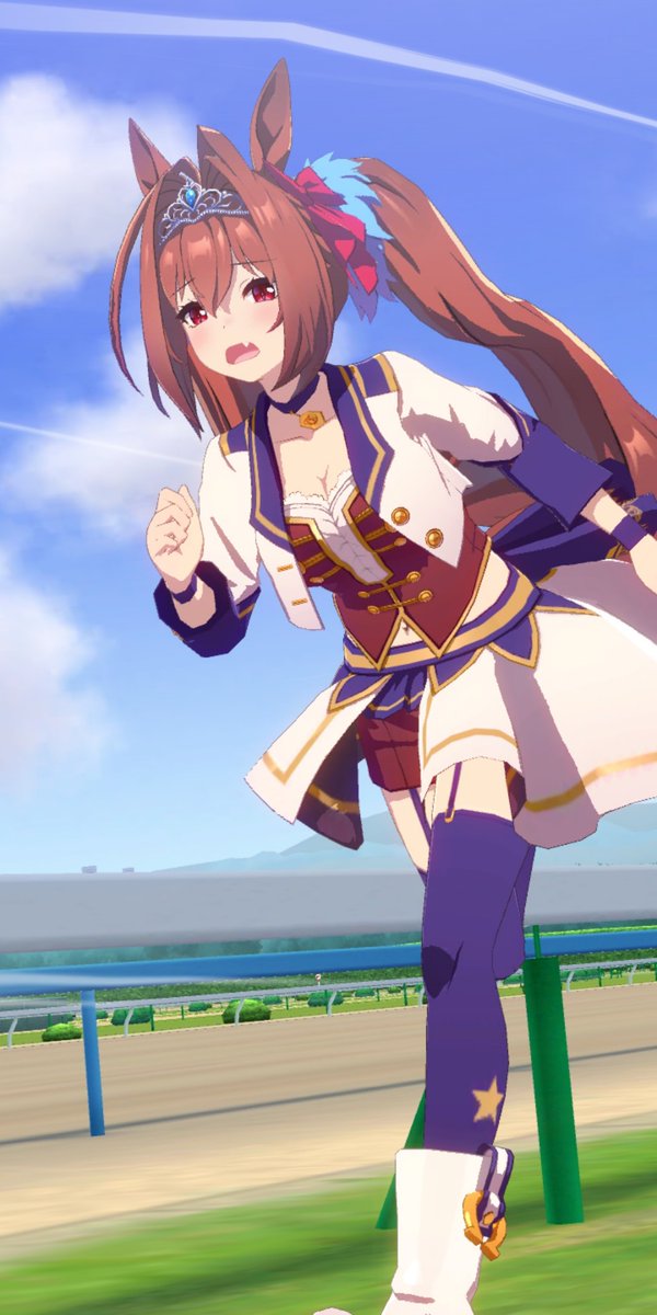 これはスタミナも根性も切れてクシャクシャになったダイワスカーレットです 