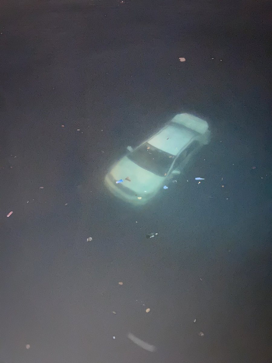 釣り来たら車落ちてんだけど…… 