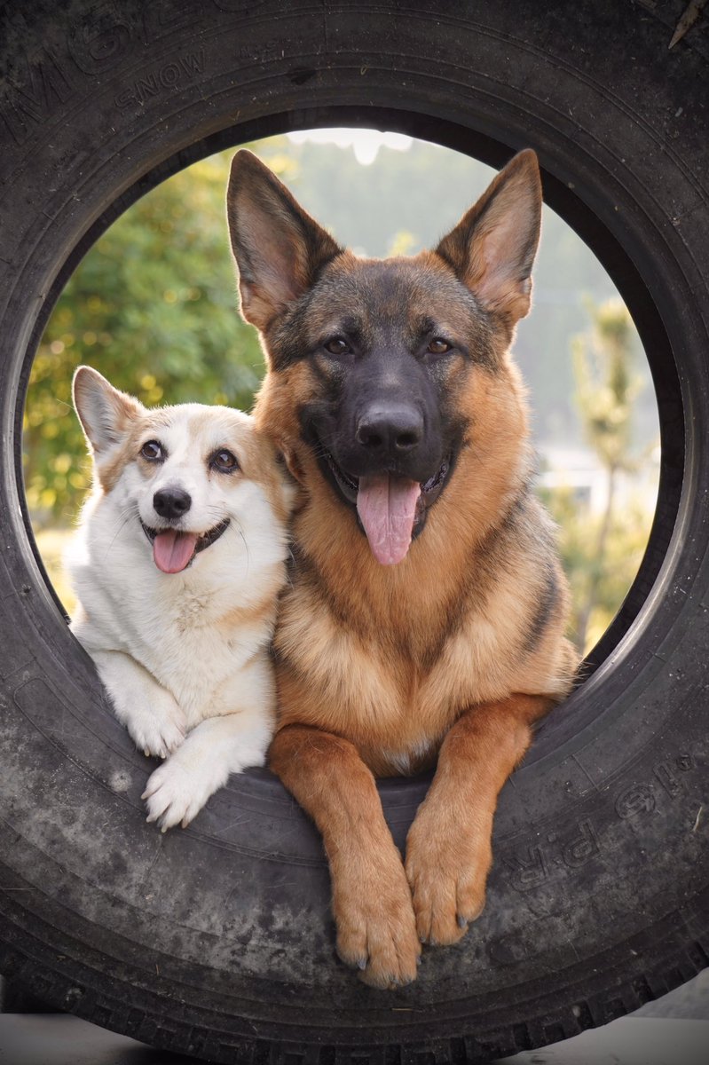 可愛いから伸びてくれ…ﾎﾞｿ 