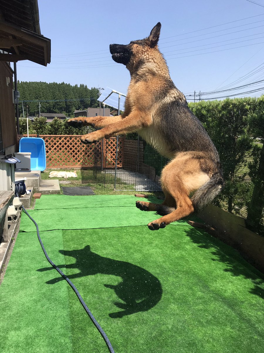 もうそれはUFOに連れ去られる時の浮き方なんよ。