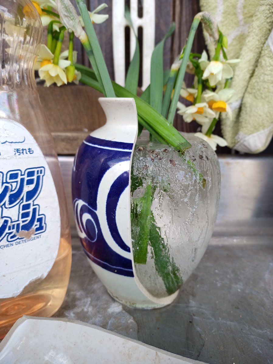 オワーーーーー!!!!!( ´ﾟдﾟ｀)ｴｰ 