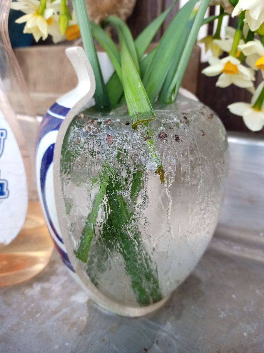 オワーーーーー!!!!!( ´ﾟдﾟ｀)ｴｰ 