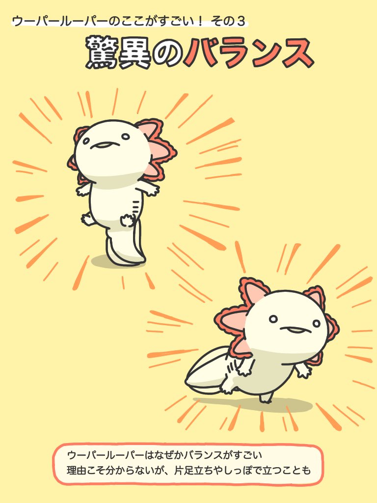 ウーパールーパーのすごいところをまとめてみました 