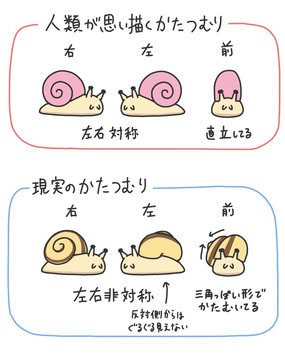 かたつむりのイラスト見る度に思ってしまう 