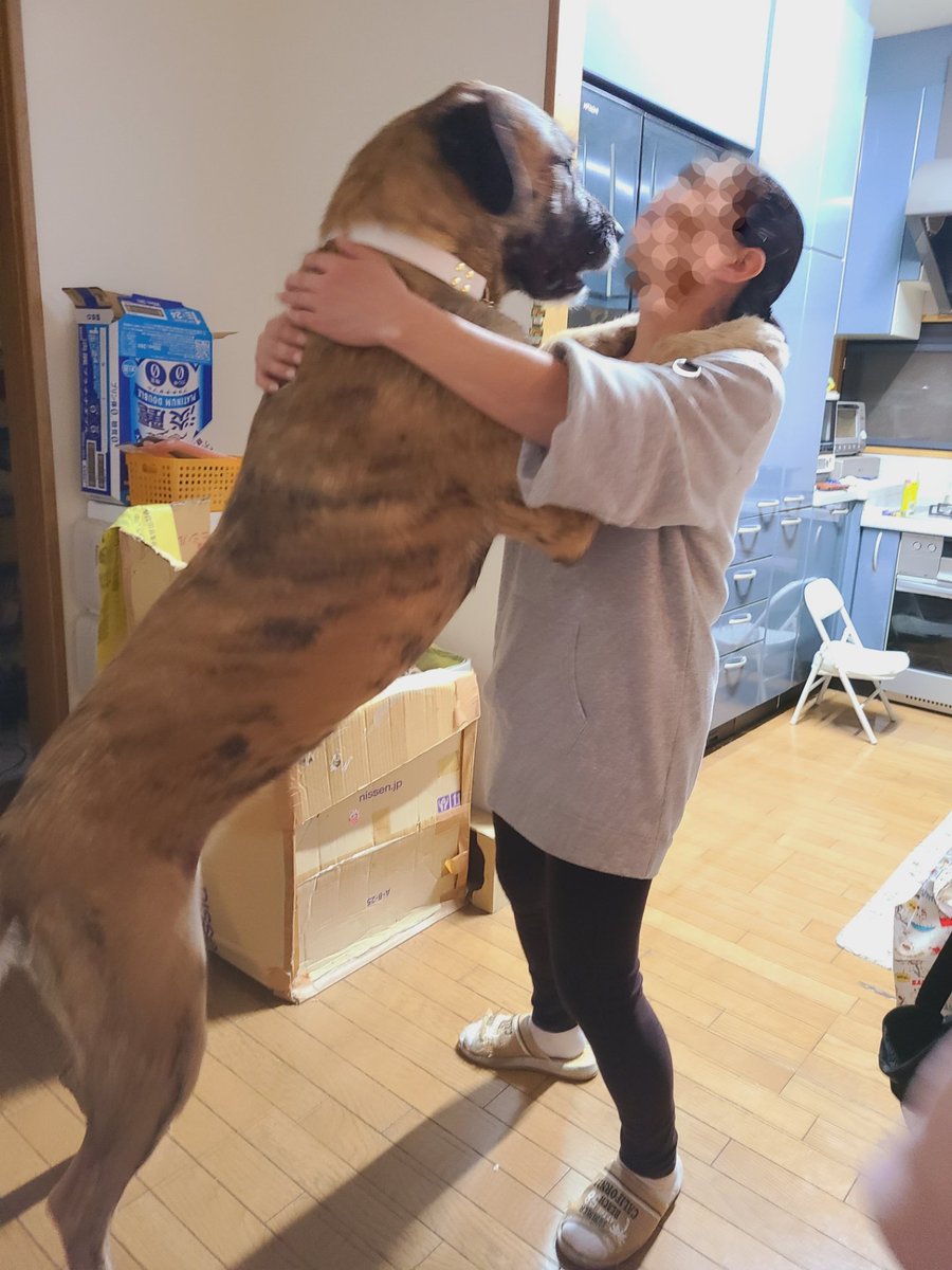 1歳になったりっちゃん（55kg）のサイズ感を確認しておきましょう