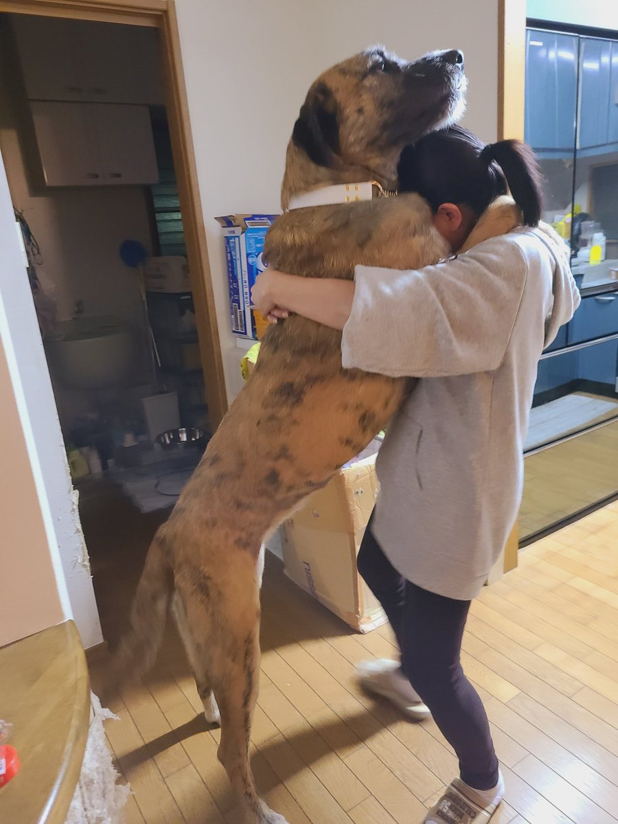 1歳になったりっちゃん（55kg）のサイズ感を確認しておきましょう