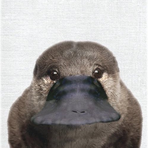 TLの箸休め的なものとして 宜しければ、お納め下さい