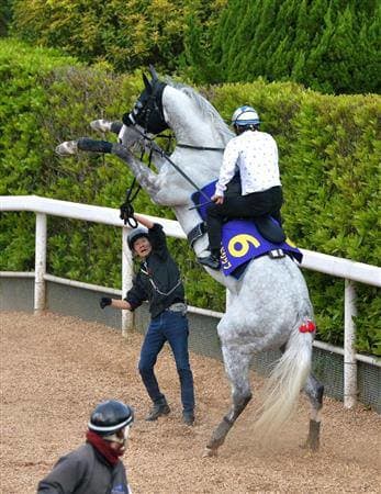 ウマ娘のゴルシのドロップキックが話題やけど元もな……… 