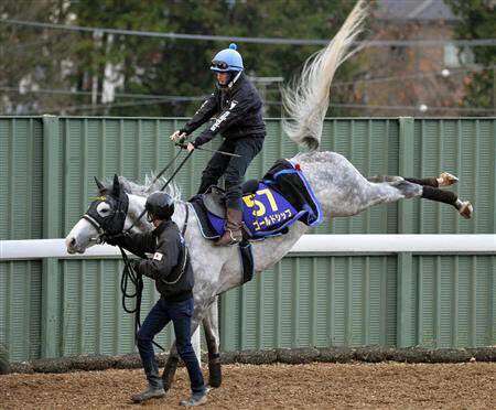 ウマ娘のゴルシのドロップキックが話題やけど元もな……… 