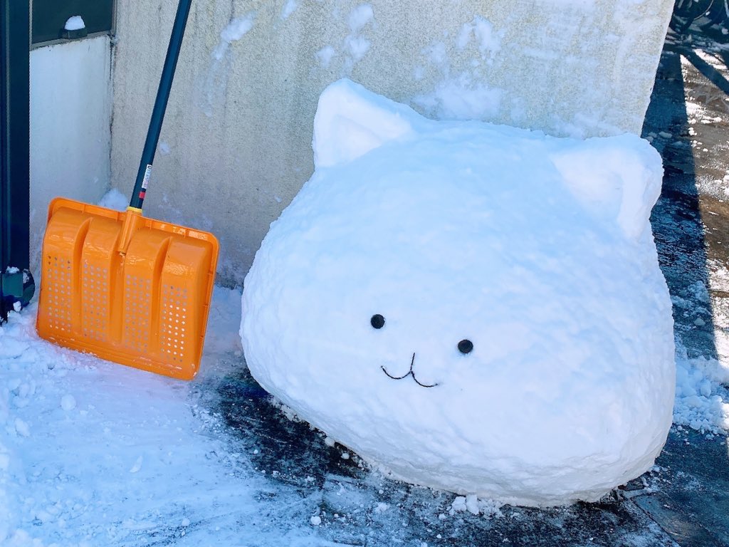 20歳児　本気の雪だるま #gochiusa 