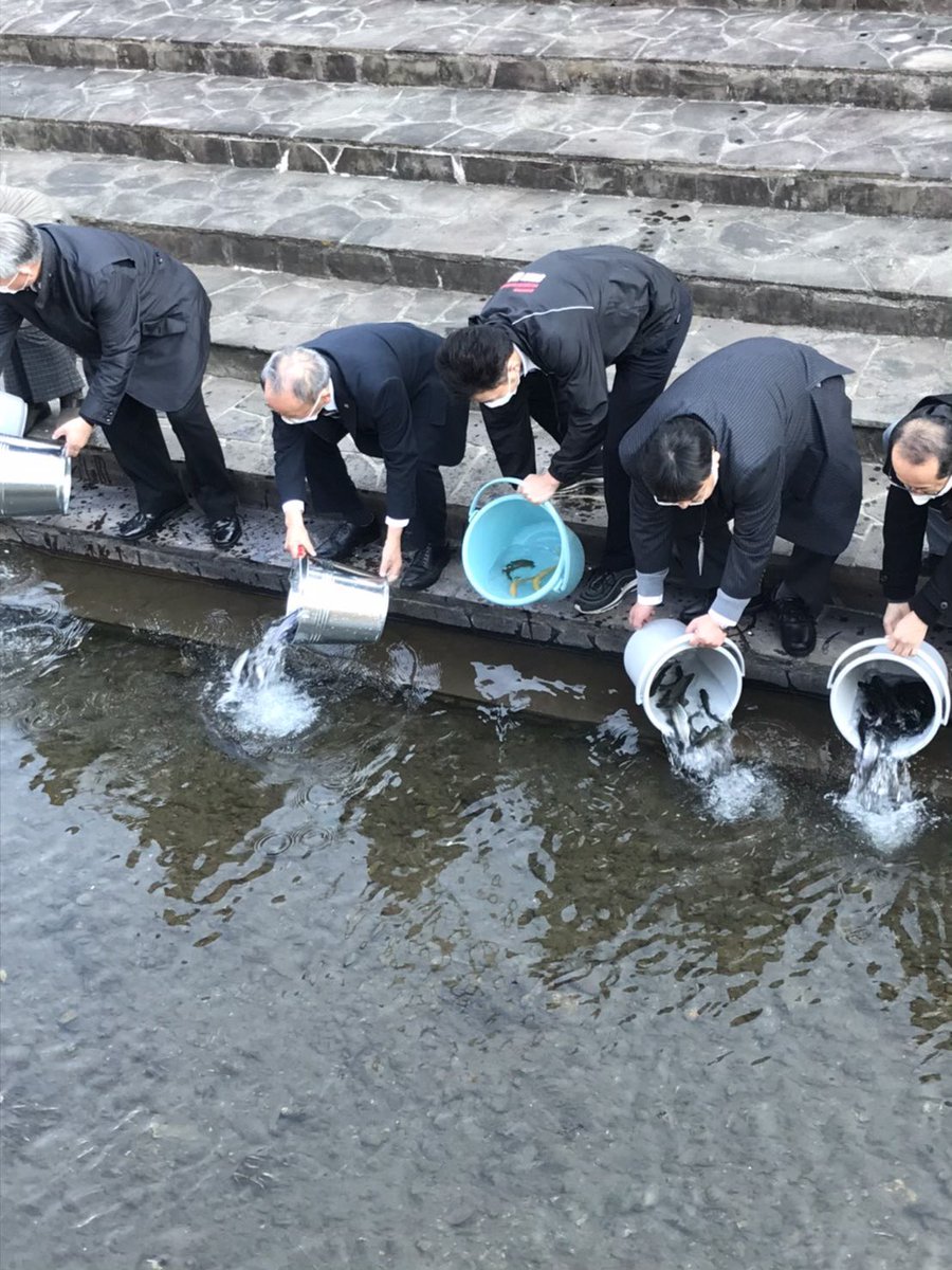 【悲報】うちの自治体、川にニジマスを1000匹放流してしまう 