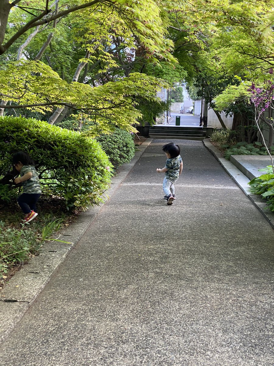 子供に迷彩柄は外遊びで馴染んで危ないって昔Twitterで見たんだけど、 やっと意味がわかった（写真、子供2人いる） 