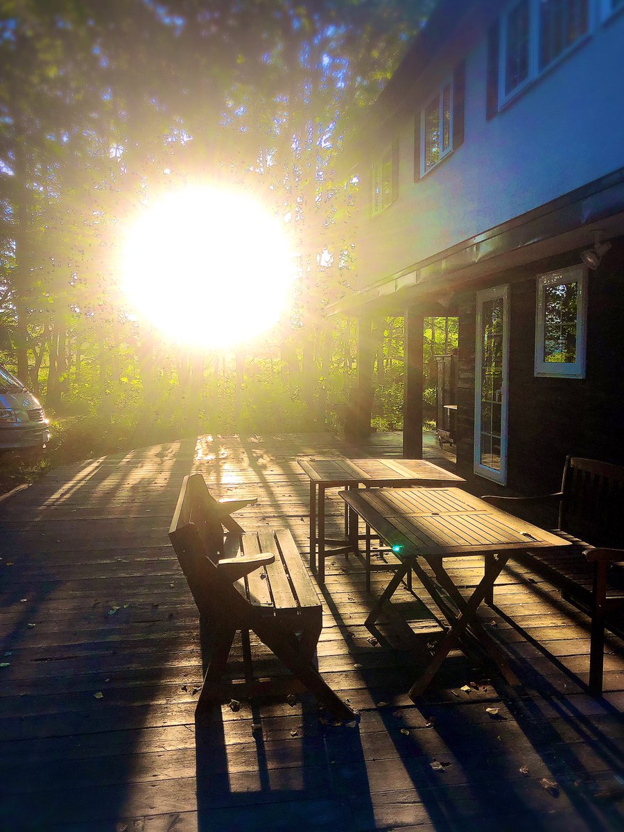 （ﾁﾗｯ  犬「パァァァァァァァァァァ（発光）」 