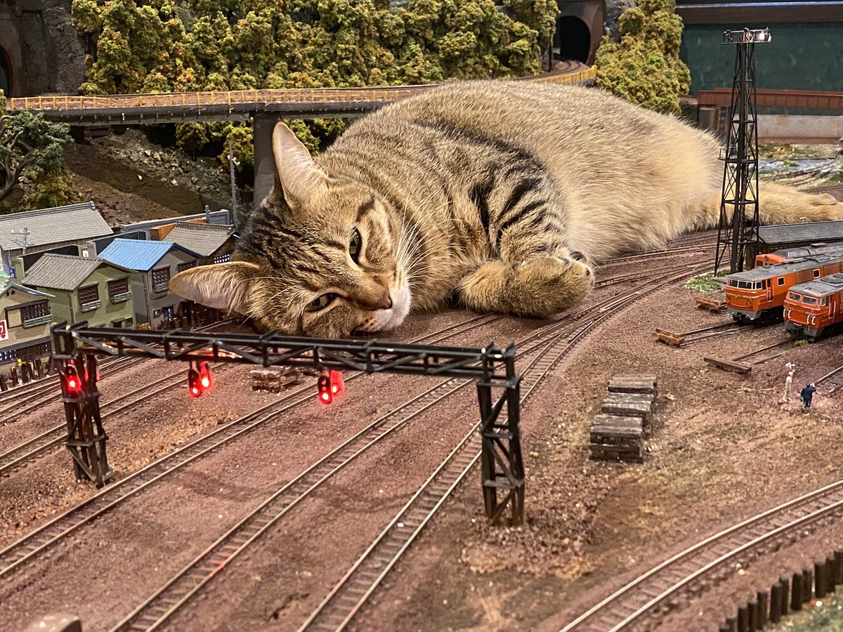  本日もサラお母さんが寝ている為一切の列車は運休とさせて頂きます