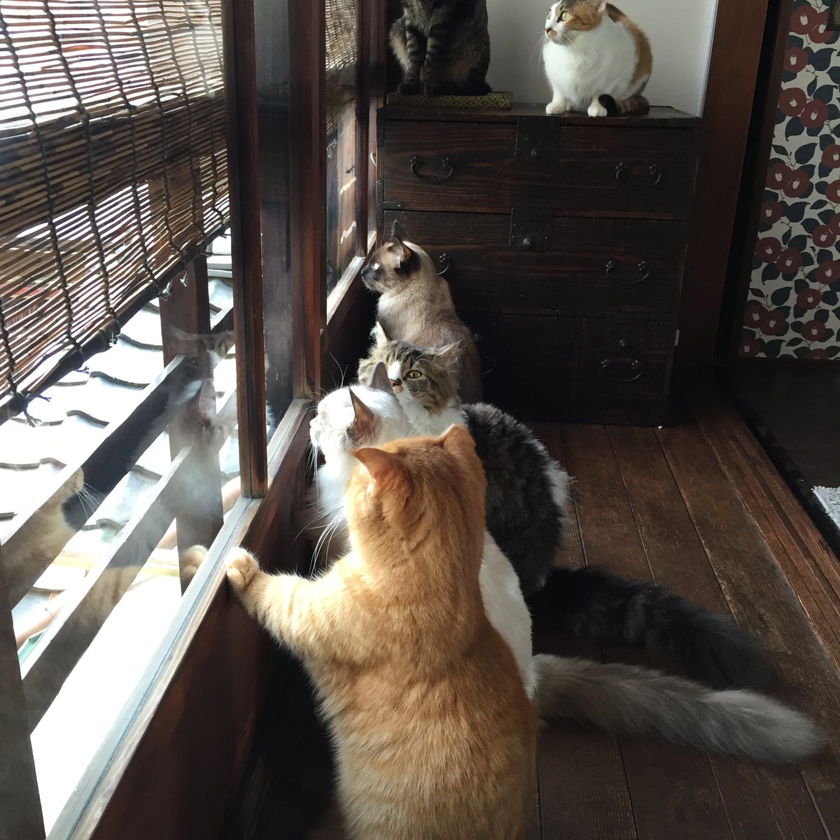 突然ですが、この度長らくお世話になった店舗を退去し、一旦閉店することになりました