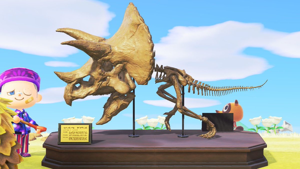 ガラル地方出身だから化石の復元がめちゃくちゃ上手い