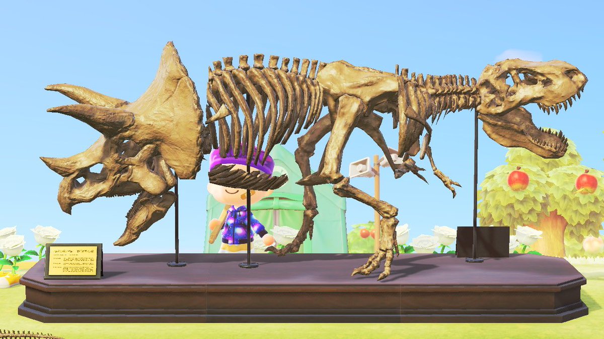 ガラル地方出身だから化石の復元がめちゃくちゃ上手い