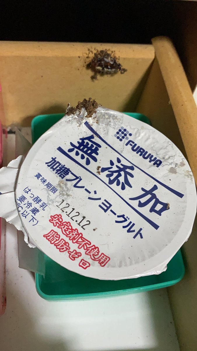   と、幼かった僕はそのヨーグルトを自分の宝箱に入れ、10年後に開けて食べると決めて…… そして僕は21歳になりました……  (やべぇ……なんか突き破って生まれてる…) 