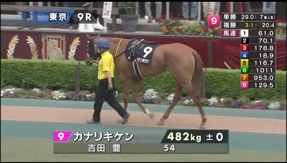 こんな危険な馬初めてみた 