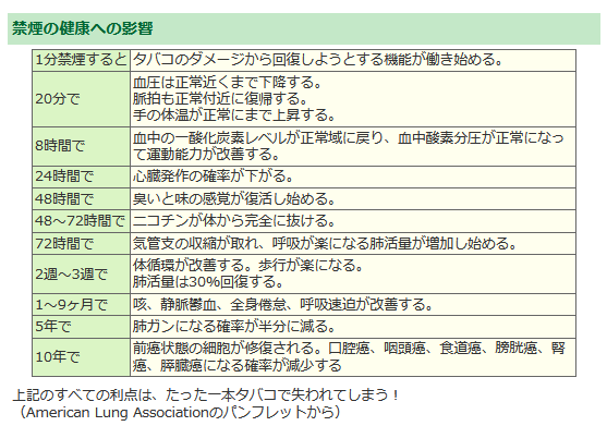 サイバー イグアナ