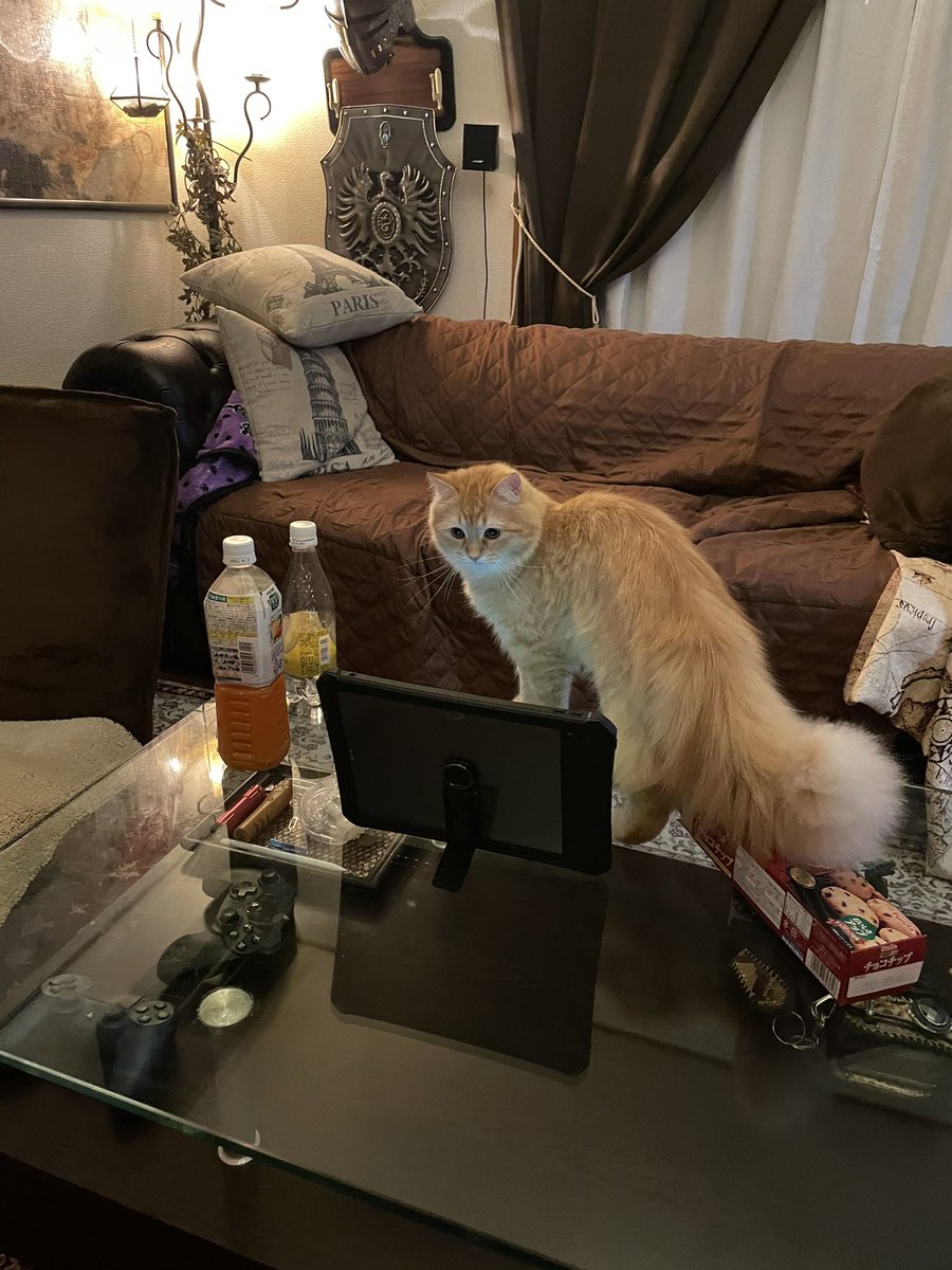 トイレ行ってる間にオンライン飲み会が今日イチ盛り上がってました（笑) 